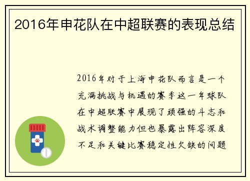 2016年申花队在中超联赛的表现总结